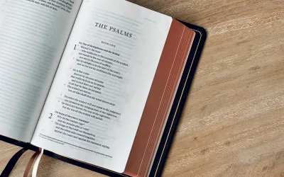 The Godly Man: Psalm 1:1-2