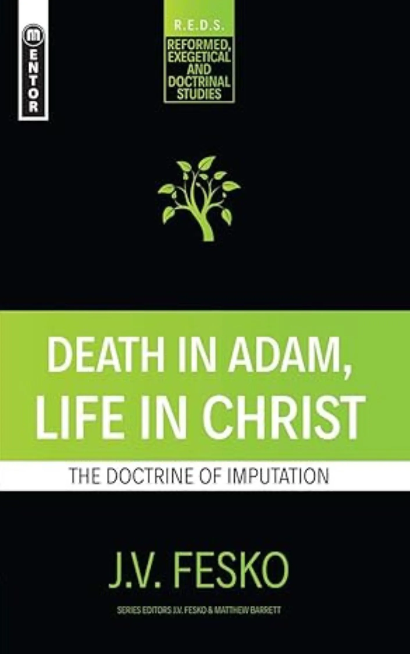 Death in Adam, Life in Christ: The Doctrine of Imputation by J. V. Fesko
